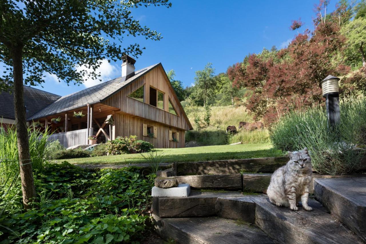 Homestead farm Tešnak Gorenja Vas  Exteriör bild