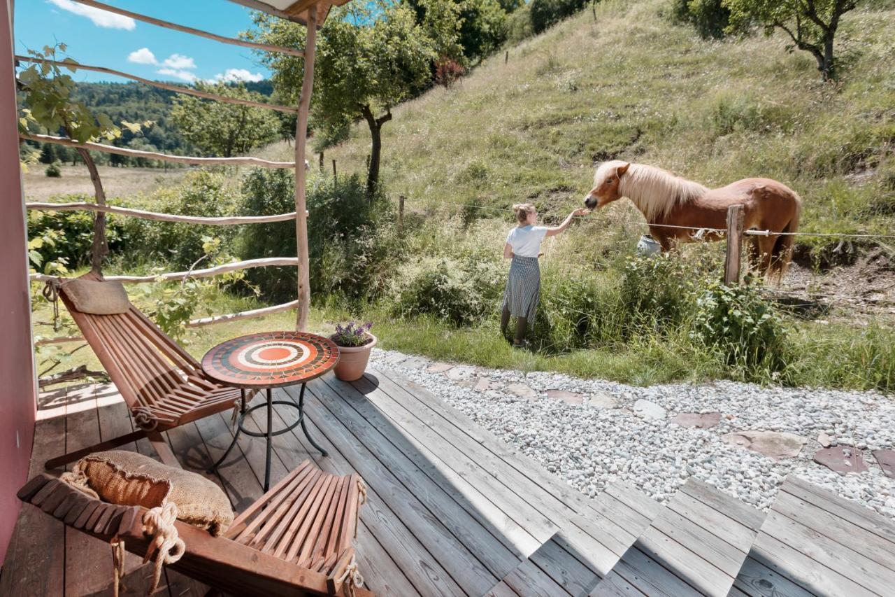 Homestead farm Tešnak Gorenja Vas  Exteriör bild