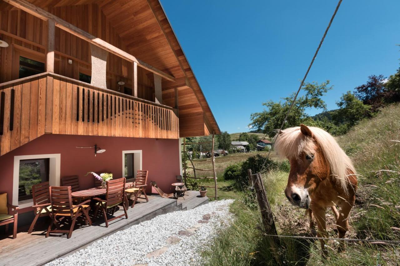Homestead farm Tešnak Gorenja Vas  Exteriör bild